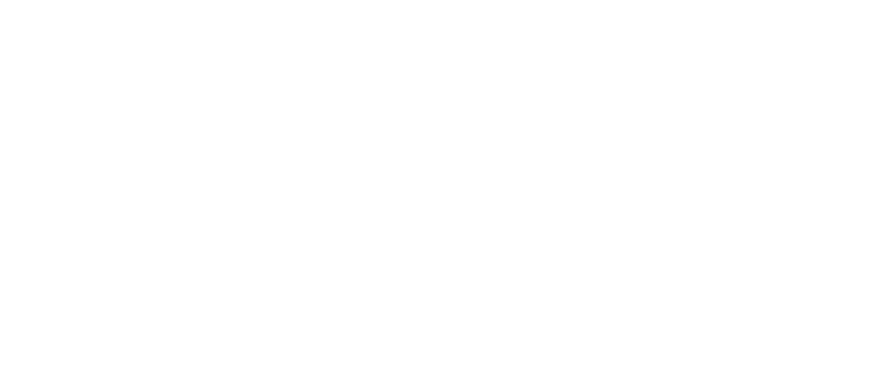 N01SE logo